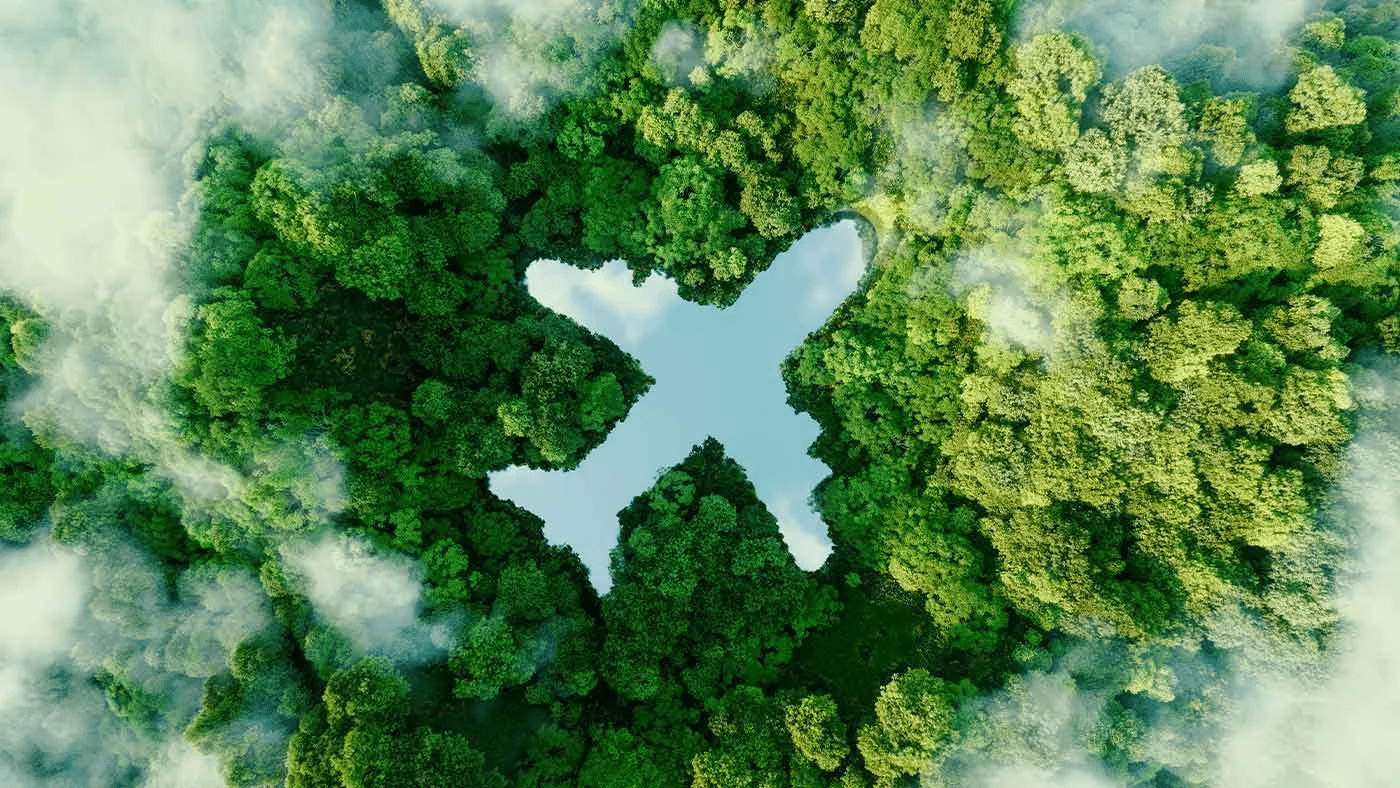 صورة ظلية لطائرة تتوسط غابة خضراء
